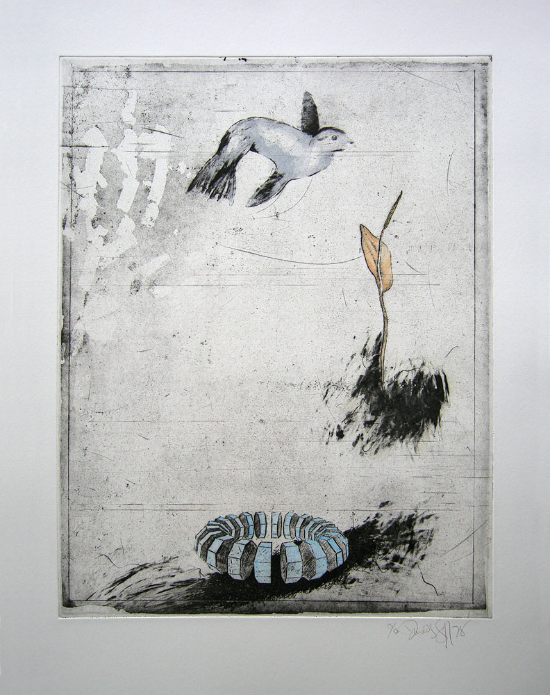 Donald_Saff_Rin_1000